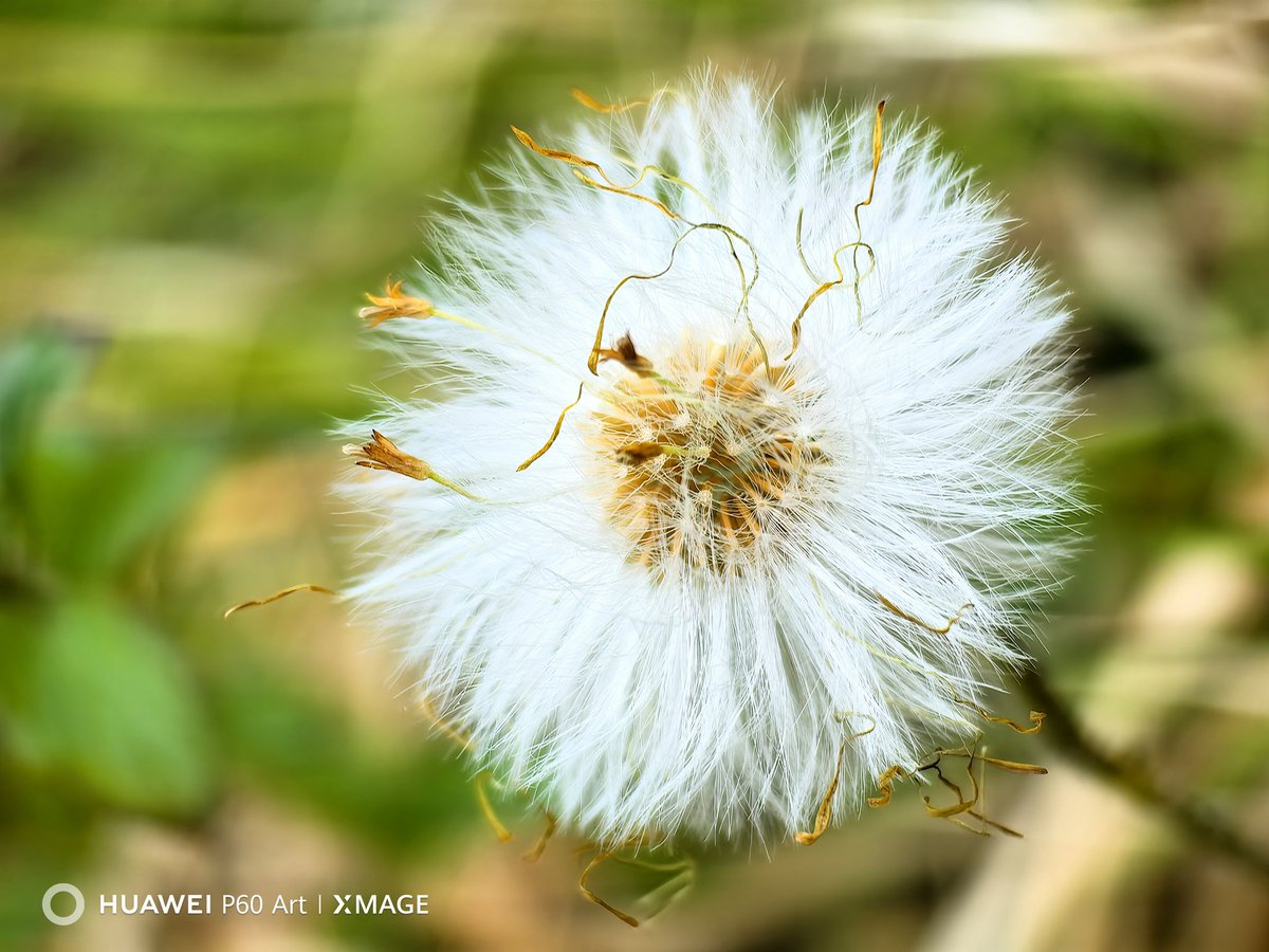 Fabrizio Degni tweet media