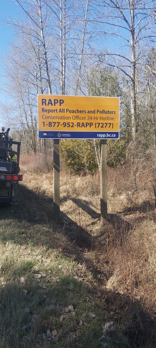Shiny new signs for the BC Conservation RAPP program installed by our sign crew on #BCHwy1 and #BCHwy18.

If you want to learn more about the RAPP program check out the info in this link:
www2.gov.bc.ca/gov/content/en…

@TranBCVanIsle
