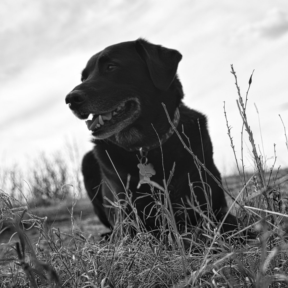 FlangPhotos's tweet photo. @Lightroom https://t.co/xzheRQ2W63