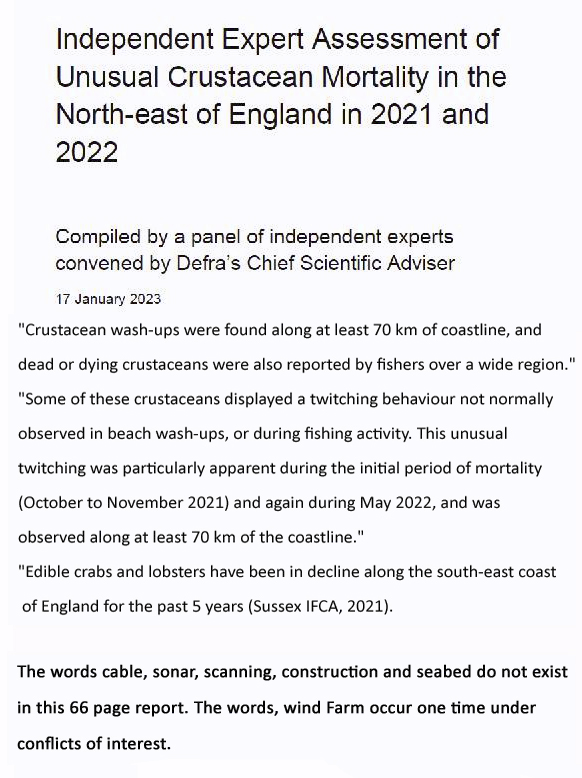 JimWiegand on Twitter "The green cartel is never at fault. This area