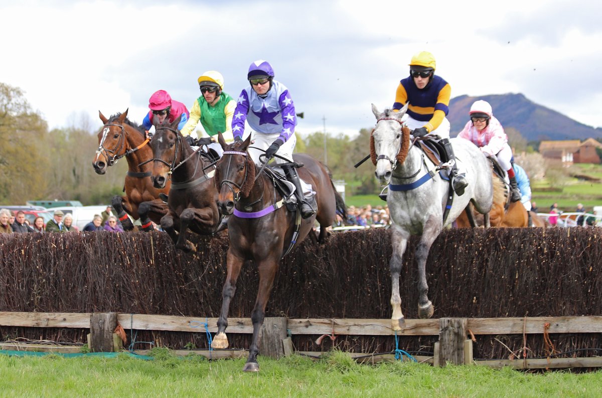 EytonRaces's tweet photo. Centenary Eyton didn't disappoint. Fabulously competitive racing with a brilliant, vibrant atmosphere. Perfect race conditions provided some great sport...&amp; of course some good parties - more to follow 😊🏇

#Eyton #Eytonraces #Centenary #pointtopointing #gopointing #racing https://t.co/olHa98sqpQ