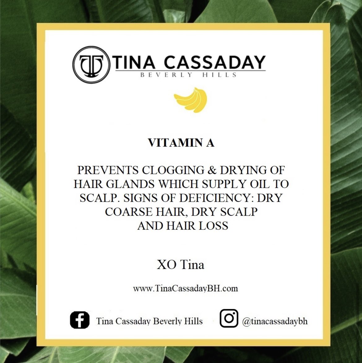 TinaCassaday's tweet image. Lets start with the A's TC Hair Camp 🍌🌸

#haireducation #hairrepair #haircare #vitamins #vitamina #hairtips #hairgoals