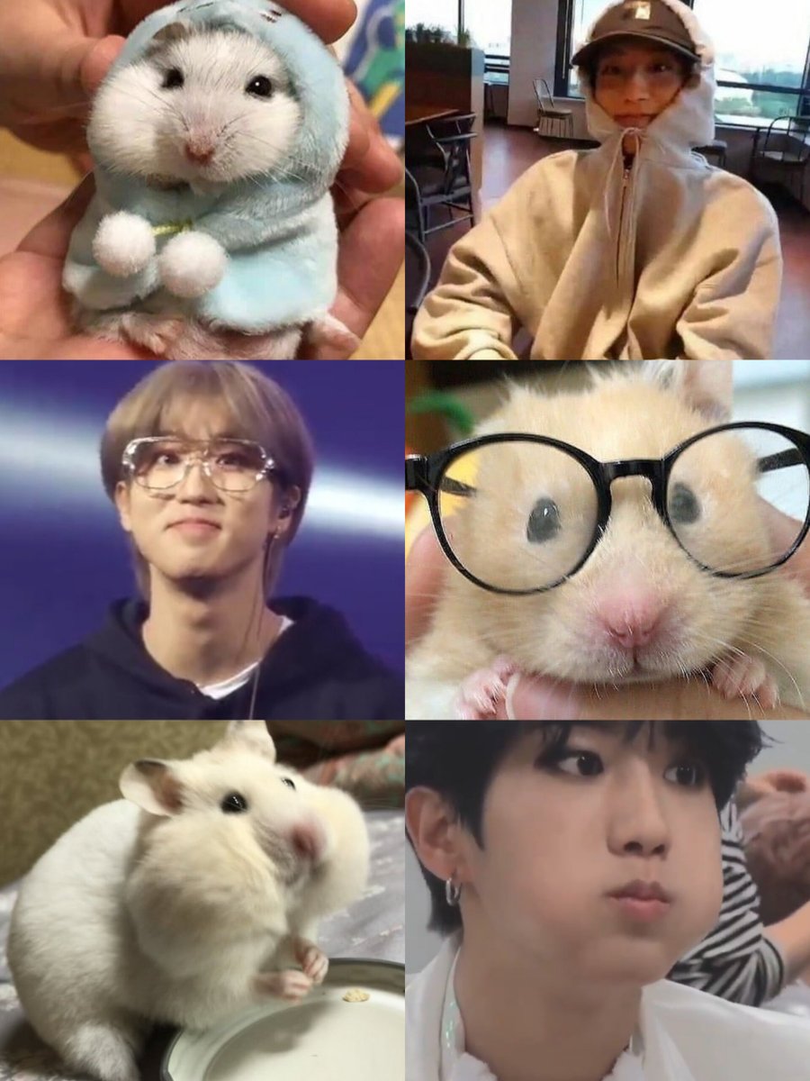 WorldHanstersDay #Han #한