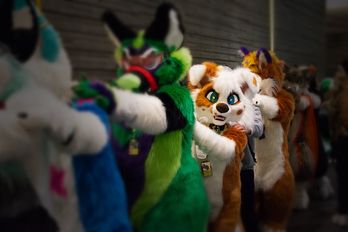 Wanna join the conga line?🤩 📸: @IceDragonPhotos (Small edits on the photo by me) #Nfc2023 #nordicfuzzcon #furry #fursuit