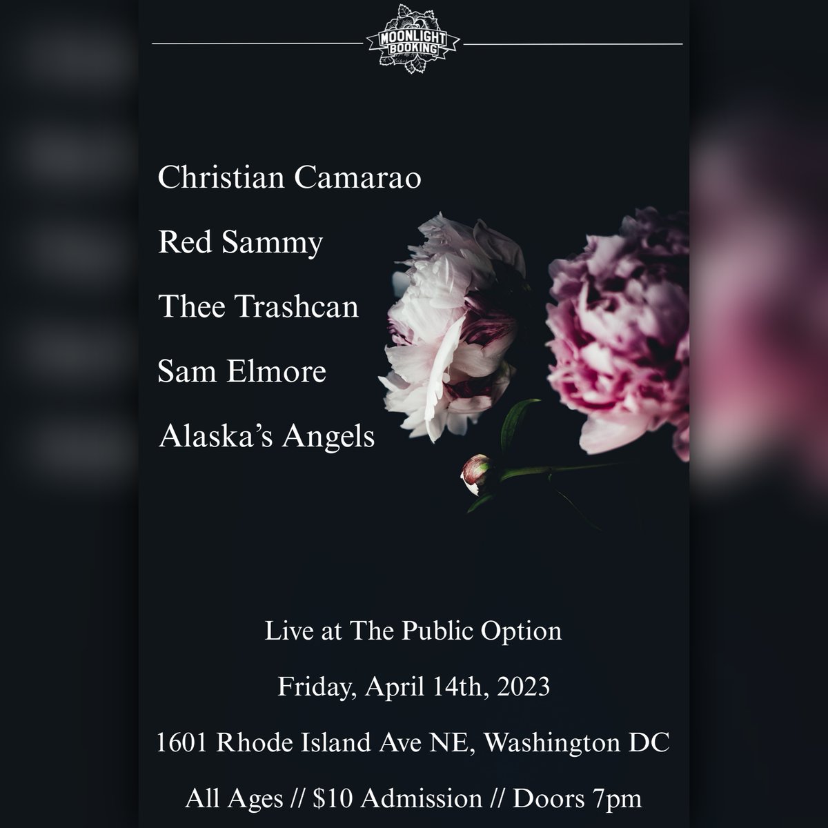 New Video at Treetop Studios &amp; Friday Show in DC - mailchi.mp/a313c34a29e7/l…