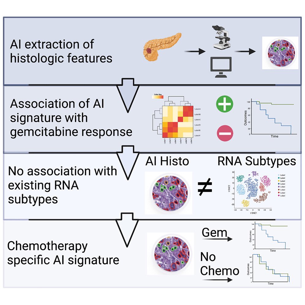 Anirban Maitra tweet media