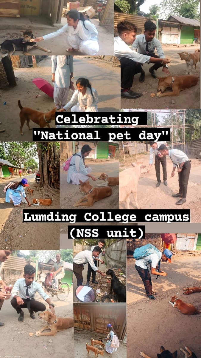 LumdingNss's tweet photo. @nss_rdguwahati @_NSSIndia @DrRanjanKrKaka1 https://t.co/XTNl7L9R1a
