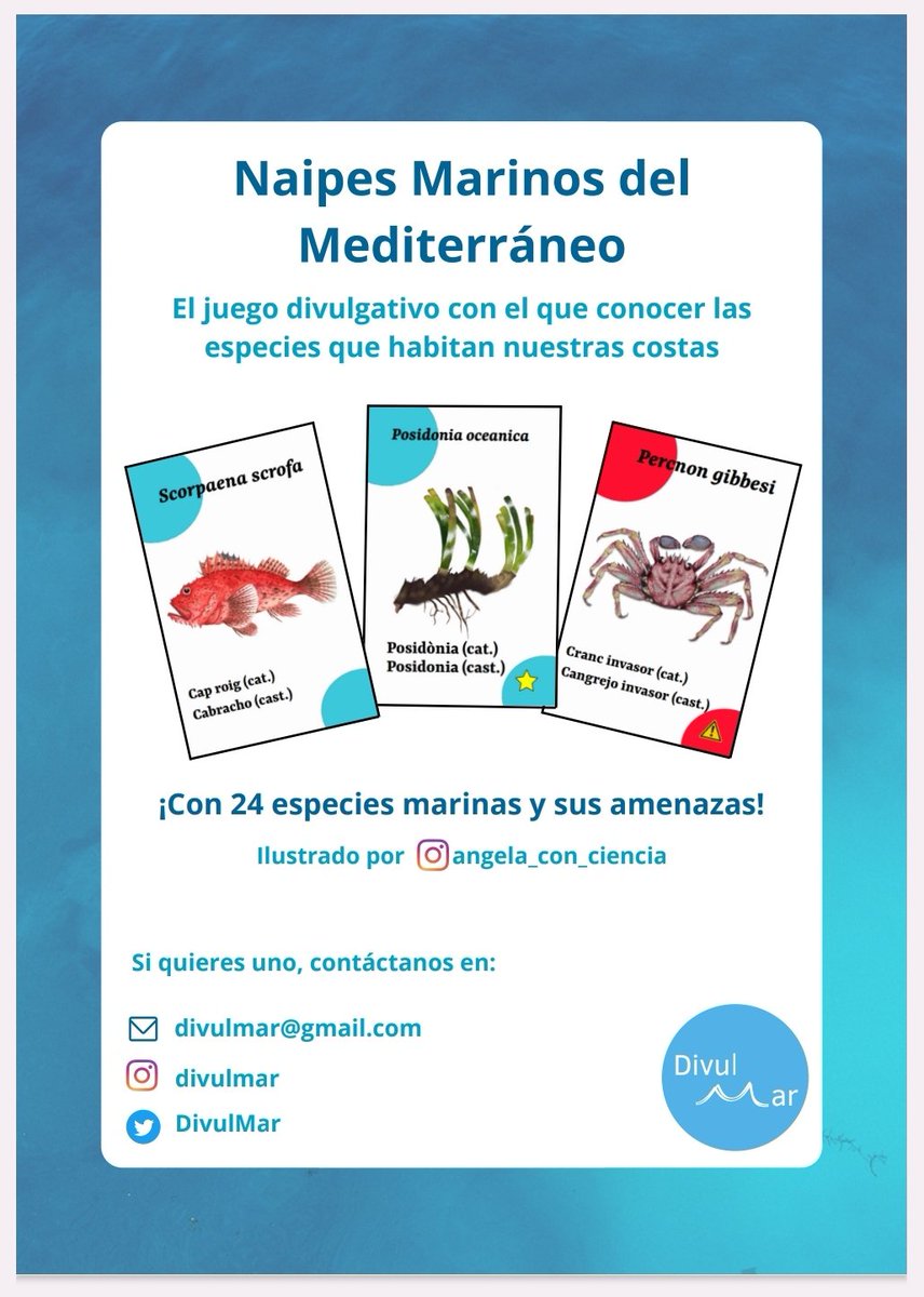 Aquí está por fin el juego que os habíamos prometido! 💙

Para todas las edades, con dos modos de juego y más de 24 especies marinas con los nombres en catalán y castellano. 

Podéis pedirnos el vuestro por DM 📩

Ilustrado por Ángela Rodríguez Ruíz