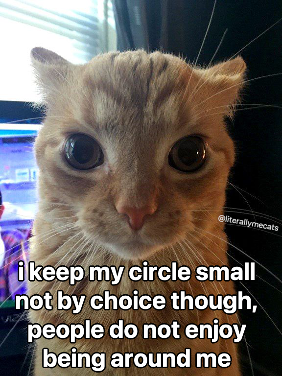 literallymecats's tweet photo. https://t.co/NyoDMcwdsw