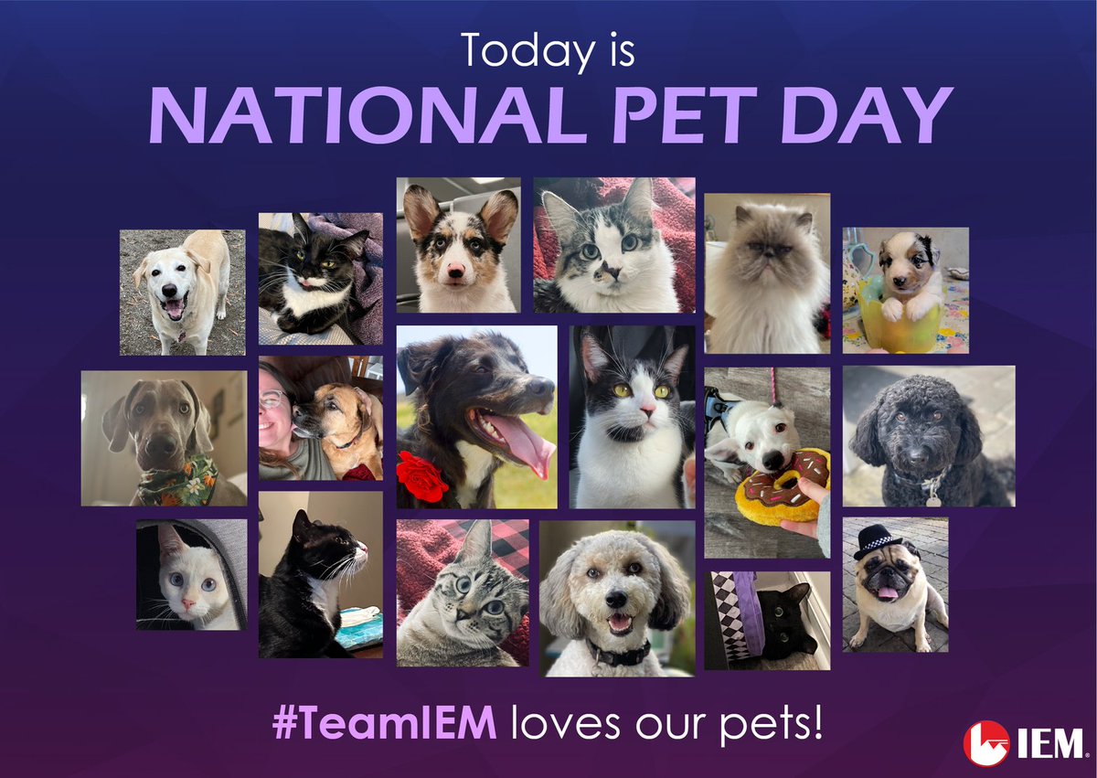 IEMNews's tweet photo. Show your love 💗 for your pet 🐈🐶🐇🐹 on #NationalPetDay by including them in your #emergencyplan!  

Building a #preparednesskit with their important documents, water, pet food, pet meds, &amp; other supplies such as an extra leash &amp; toys 

💡 Learn more: https://t.co/GdmGkrqst2 https://t.co/1tyc16cdJM