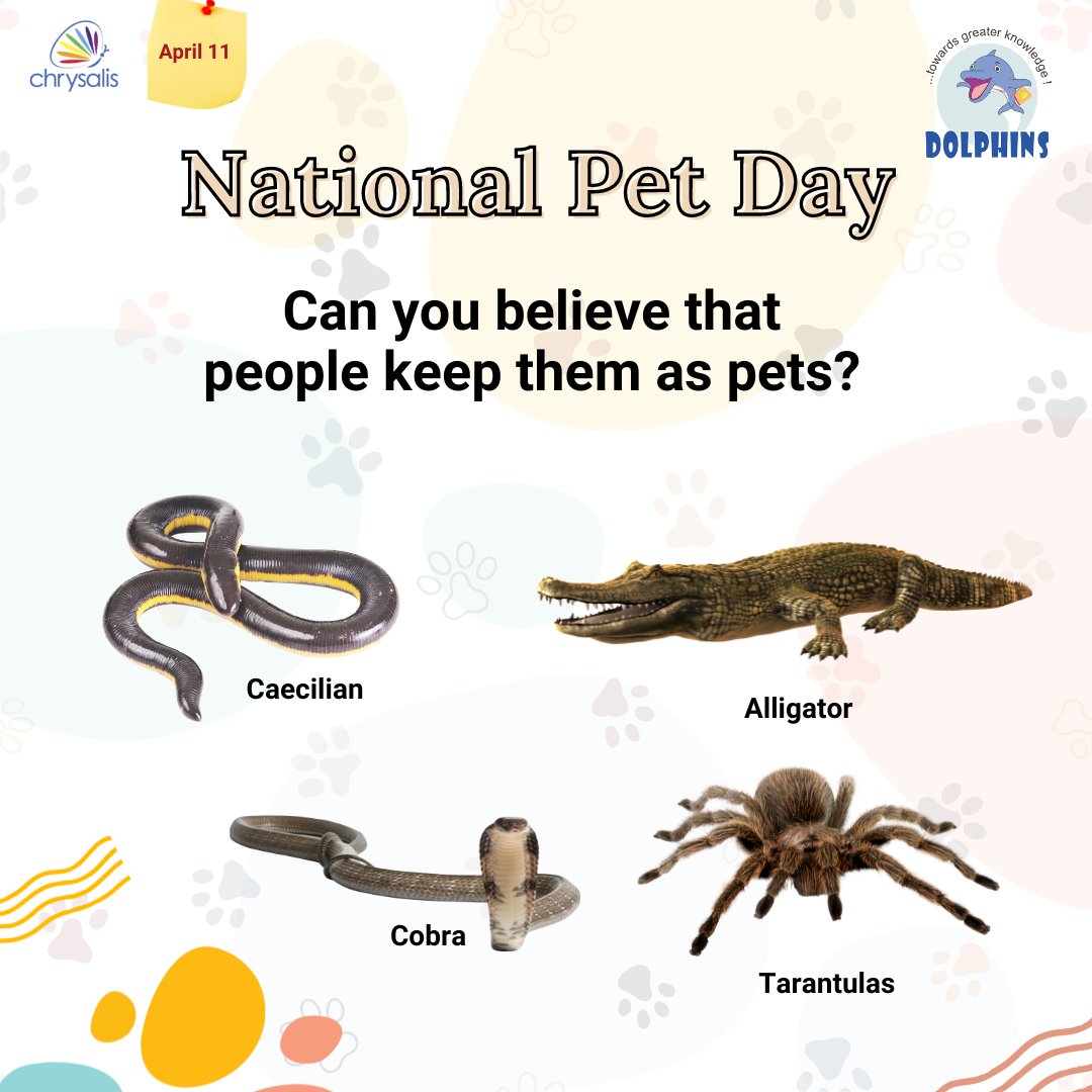 🐾 Happy National Pet Day 2023! 🐾

#nationalpetday2023 #pet  #admissionsopen2023_24 #admissionsopen2023 #admissions2023 #bestschoolinjaipur  #schoolinjaipur #bestdiscount
#admissioninschool #dolphinsgroupofschools #schoolinrajapartapnagar #cbseschool