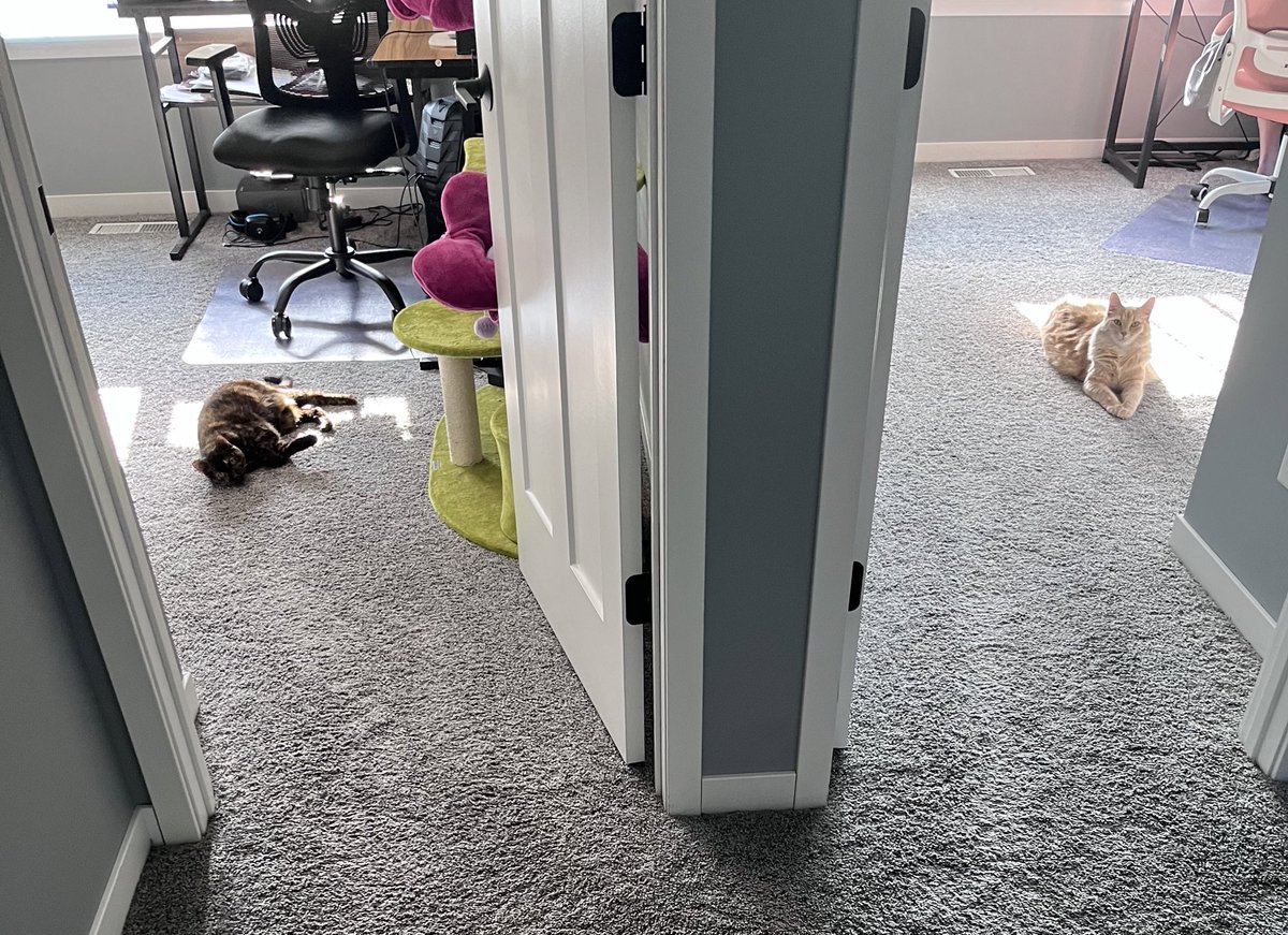 Josh Trebach, MD tweet media