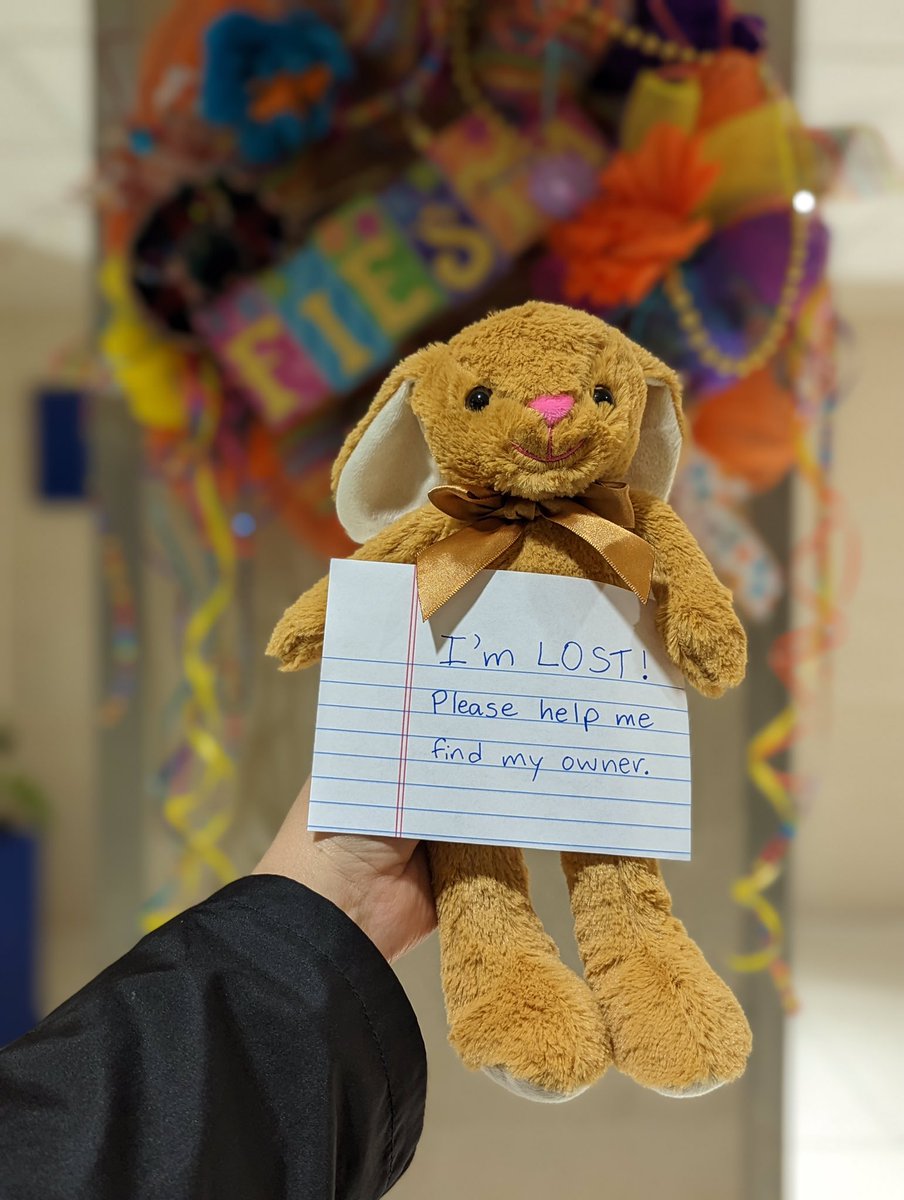 SATairport's tweet photo. PLEASE SHARE: Some bunny got a little lost this weekend 👀🐰 If you recognize this adorable, furry little face with the pink button nose – please call our Lost and Found at 210-207-3451 #flyEasier #flySAT https://t.co/OeMKbghkl3