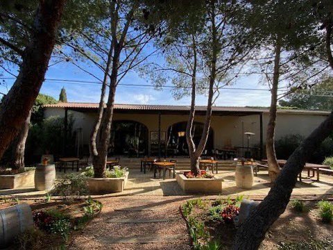 Hey wine lovers - join #americanwinesociety and find friends to travel and sip with! Our members go all over, recently to local wineries in #Mallorca to taste wines made from the indigenous grapes #MatoNegro and #PresnalBlanc🍷🇪🇸

#wine #winetravel #spanishwine #mallorcawine