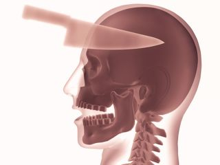 Header media for article