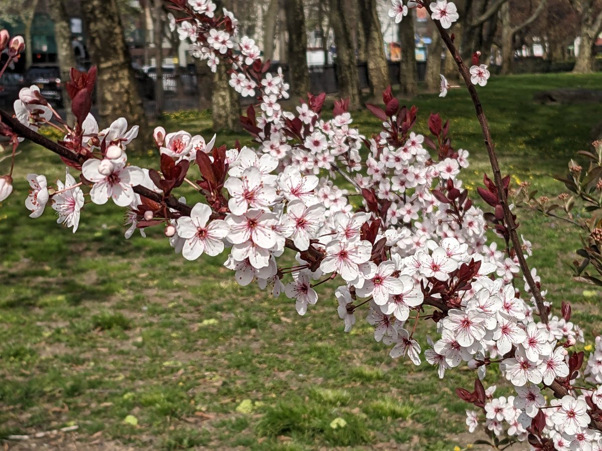 Amazonagent's tweet photo. It's a nice day to take lunch outside #NYCspring https://t.co/wJIlSKP6pb