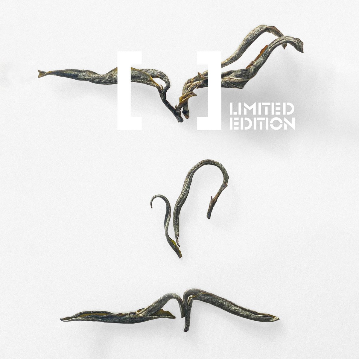 Canton Tea tweet media