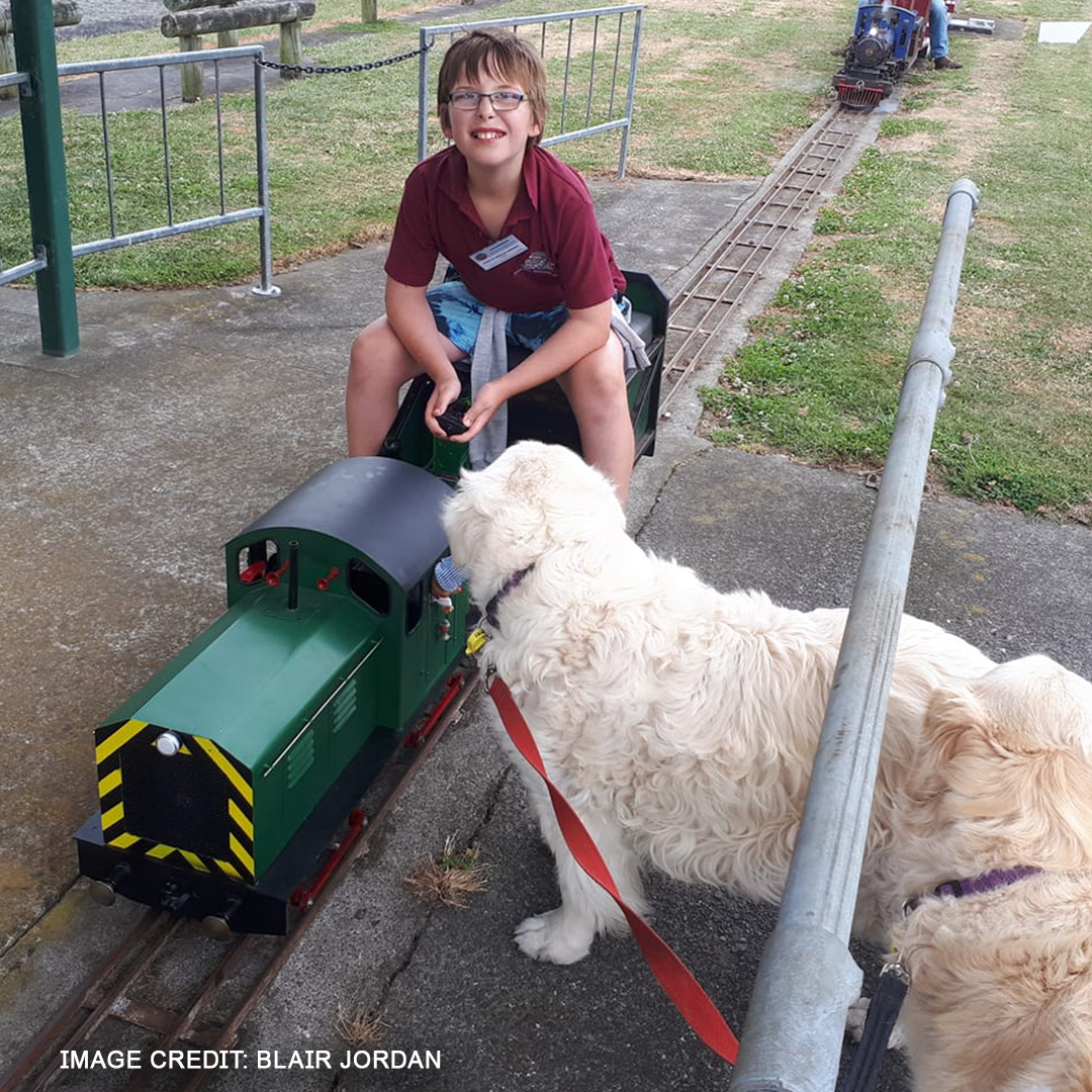 Hornby on Twitter "Happy National Pet Day 🐾 Who else has a furry