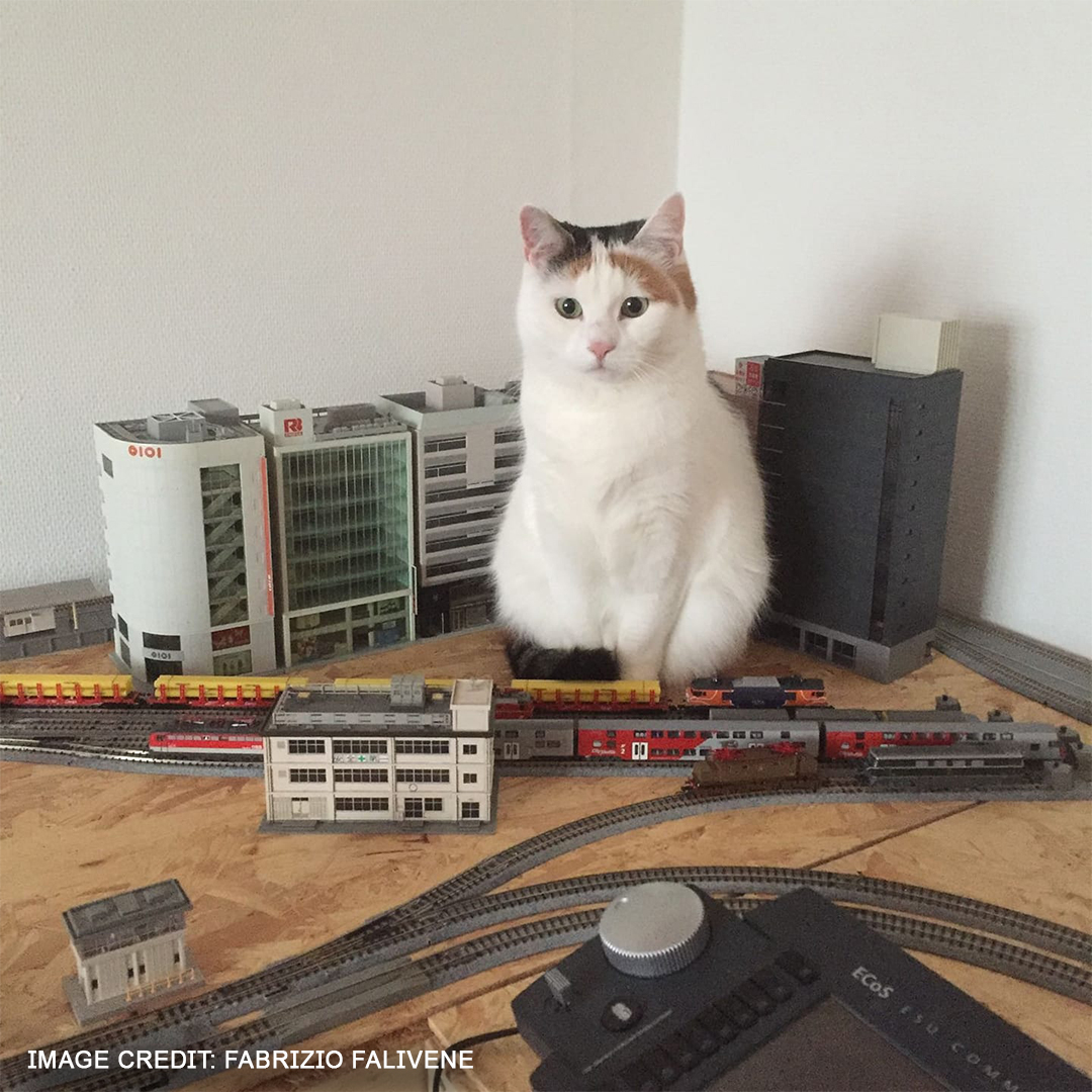 Hornby on Twitter "Happy National Pet Day 🐾 Who else has a furry