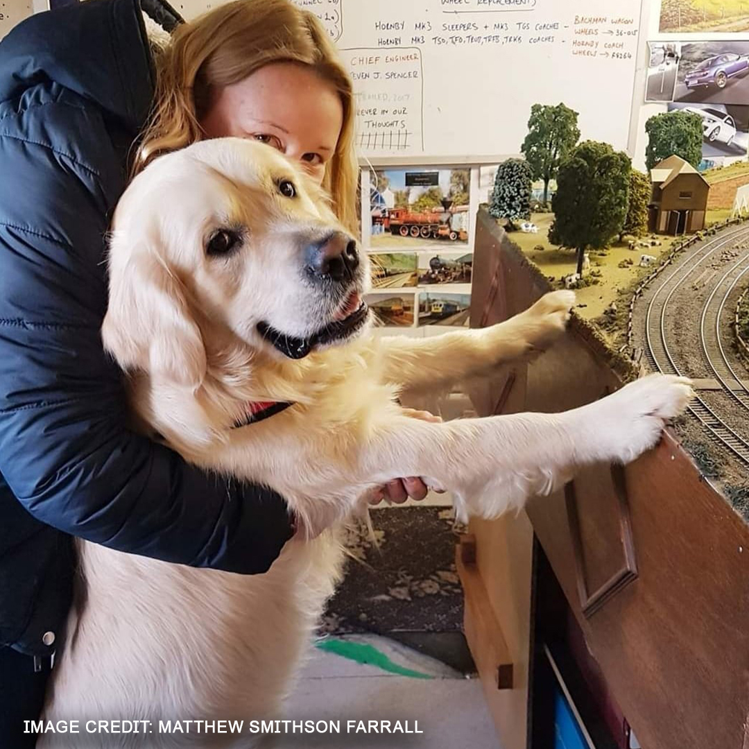 Hornby on Twitter "Happy National Pet Day 🐾 Who else has a furry