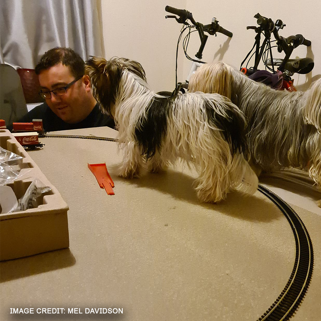 Hornby on Twitter "Happy National Pet Day 🐾 Who else has a furry