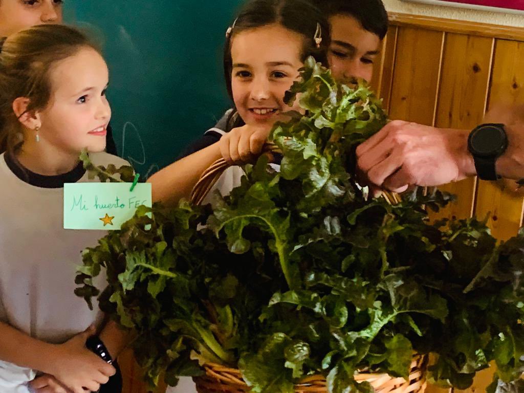 fecsjvp's tweet photo. Hoy nuestro alumnado ha recolectado las primeras verduras de nuestro Huerto FEC Escolar. 

La lechuga 🥬 roja es la primera recolección de la temporada otoño/invierno.

¿Qué más frutas y /o verduras podremos recolectar? 🥬🥕🫑
#ConCriterio @colegiosfec https://t.co/nFJKgQMP7B