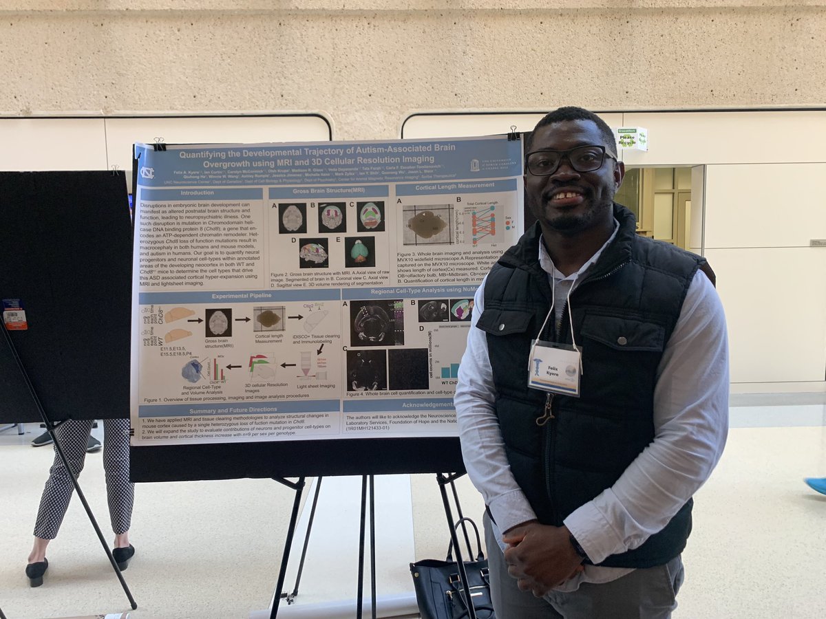 Alisa Wolberg tweet media