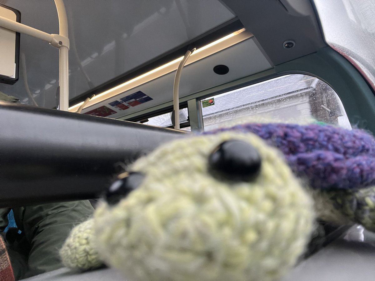 politic_animal's tweet image. Mrs Turtle is also inspired to try photography, but is stuck on selfie-mode. #Paris24