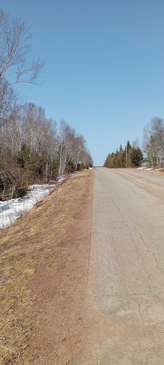 hunter_ancestor's tweet photo. First Spring day in teens.  Out for a walk to help with the seasonal depression.
#springday #seasonal #depression #walking https://t.co/xrLrWiARWQ