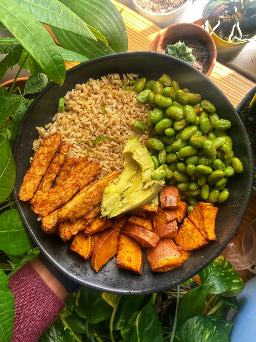 this was brunch today, air fried sweet potatoes, mukimame, tempeh, brown rice and avocado, vegan ofc :)