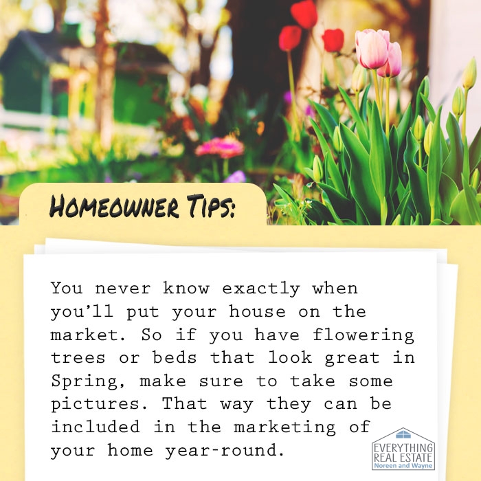 Tuesday Tips
#tuesdaytips #homeownertips #homeselling #marketing #springflowers #photos #noreenandwaynerealesate #raveisyorktown #raveissomers #everythingrealestate