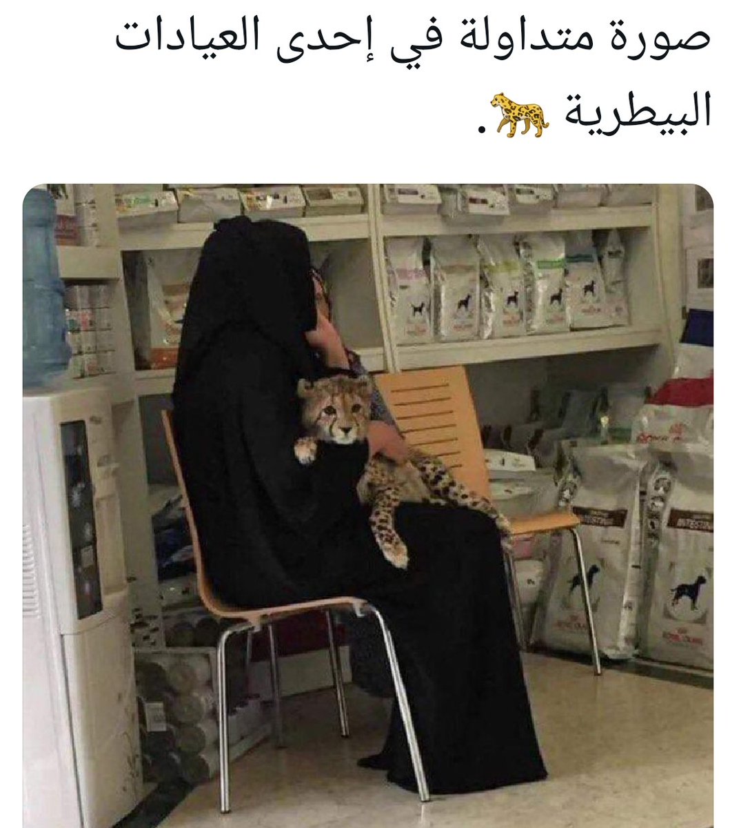 fawaz_dr's tweet photo. فتاة سيئة الحظ تفتقد رجولة الذين حولها تربي حيوانا مفترسا يشعرها بالأمان والحنان! https://t.co/KcWNOiTBia