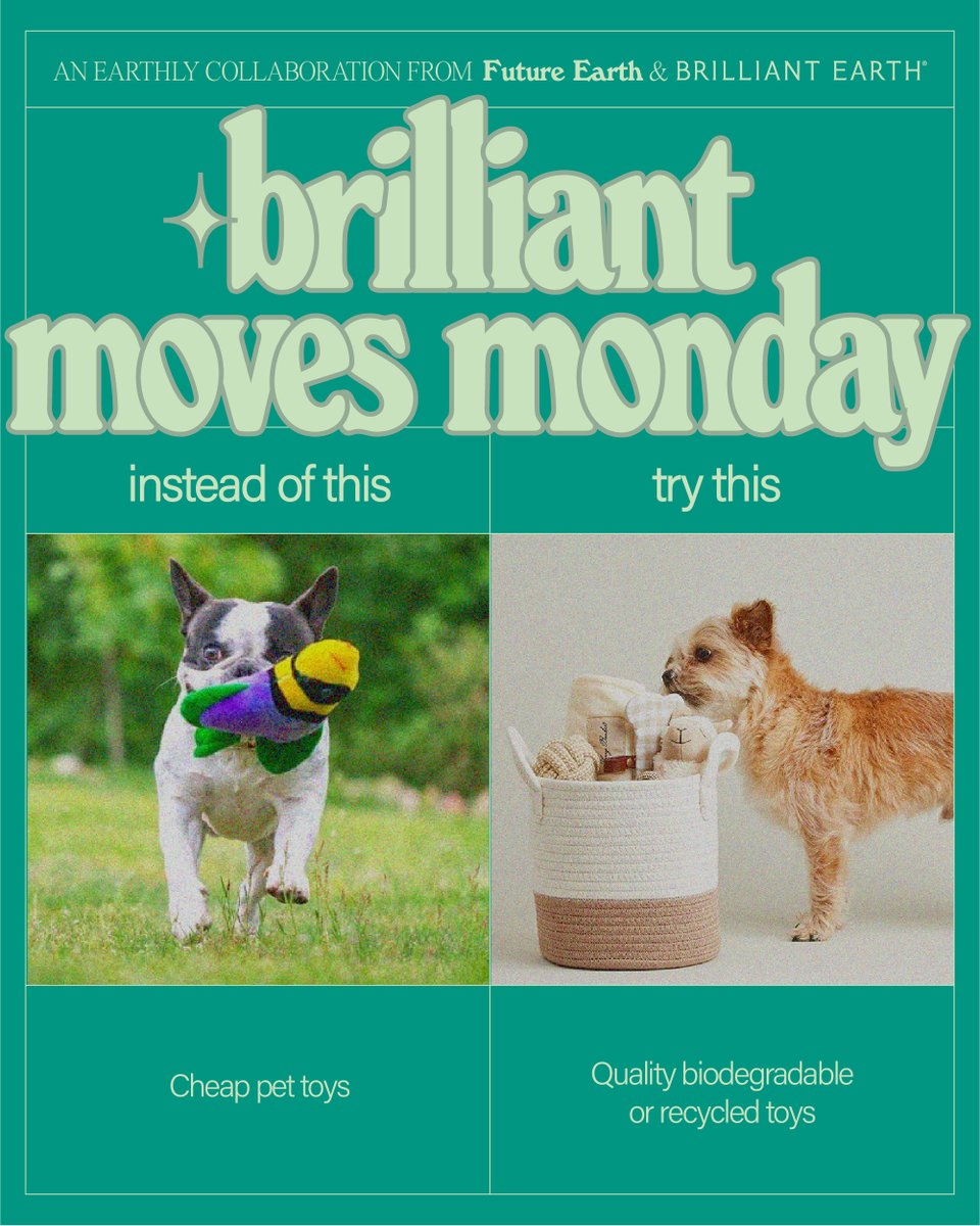 Brilliant Earth on Twitter "We’re excited to share this new series