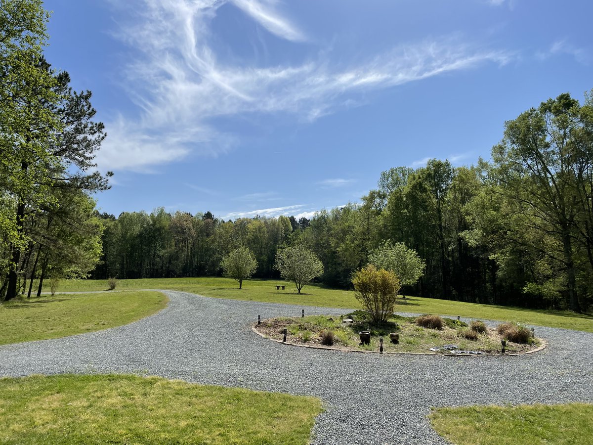 Denise Ryan tweet media