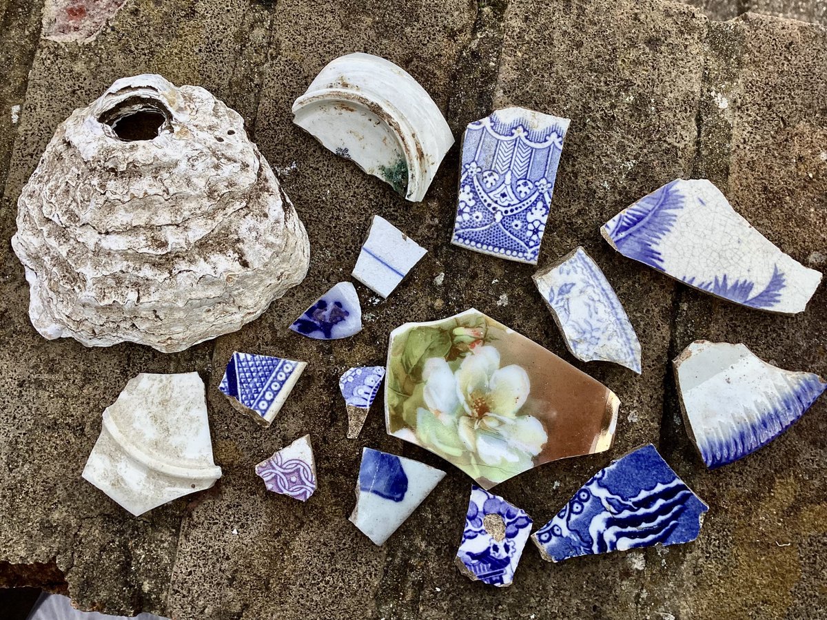 A few more bits and pieces found on top of the (now filled in) trial trenches in Beckenham Place Park - could almost make a plate now …?! :o)🤔🧩💙 #simplepleasures #bluepottery