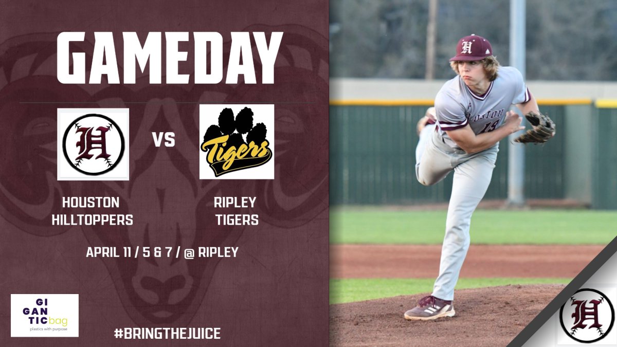 TopperBaseball tweet media