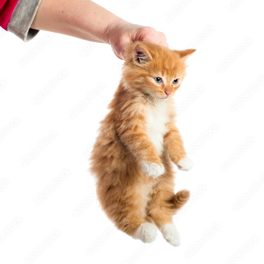 aims-vee-rewatching-su-on-twitter-these-spot-the-difference