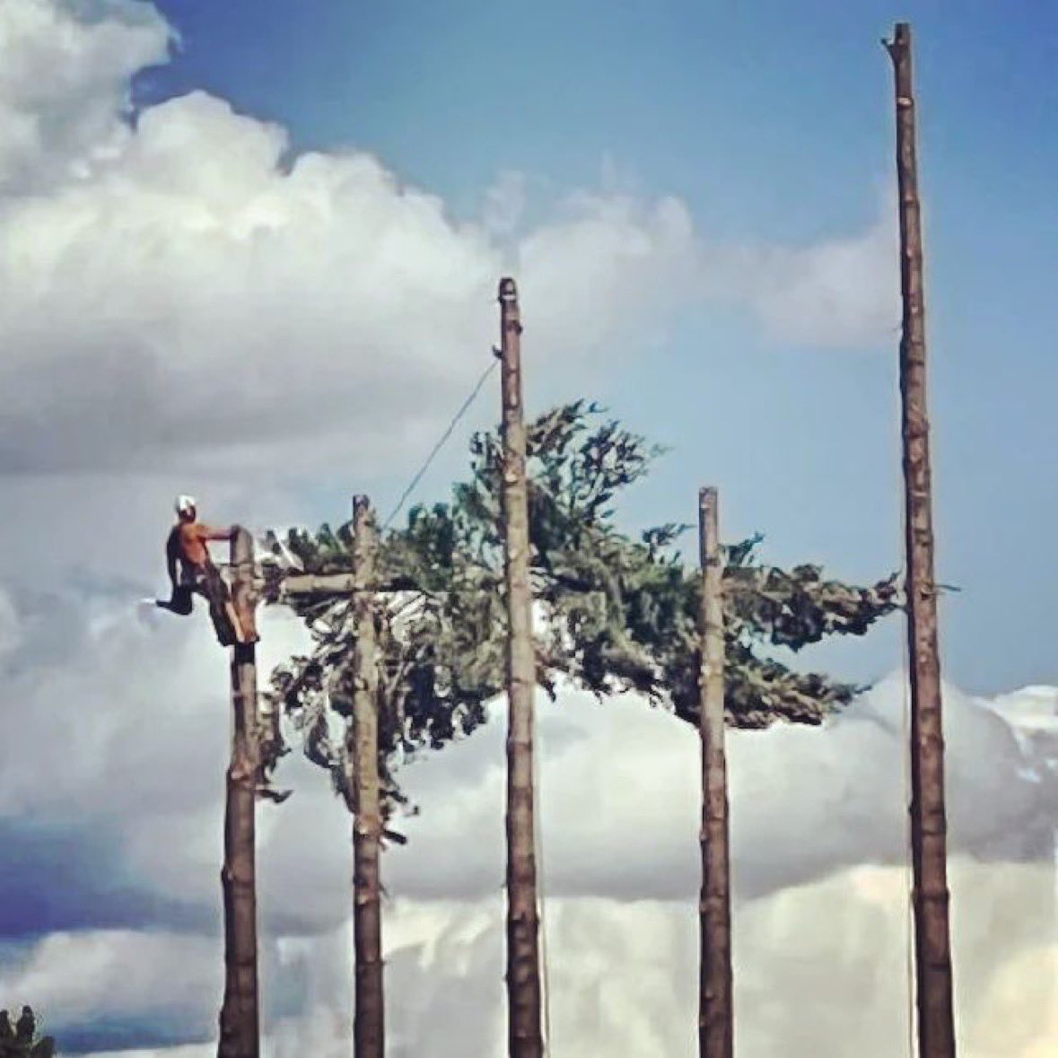 Bailey's Outdoor Power Equipment on Twitter "Repost from carbon