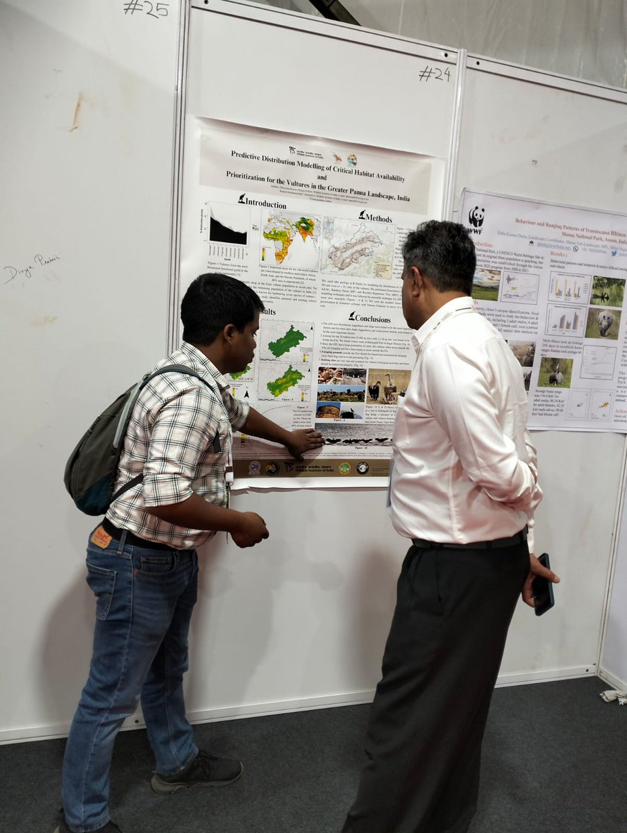 Dibyendu_shubho's tweet photo. Presented our work on the availability critical habitat and prioritisation for conservation of vultures in Greater Panna Landscape in ICCON 2023, celebrating the 50 years of Tiger project in Mysuru. Thanks to @kramesh95 for all the guidance supervising the study. #ICCON #vulture https://t.co/D5ds4Btv81