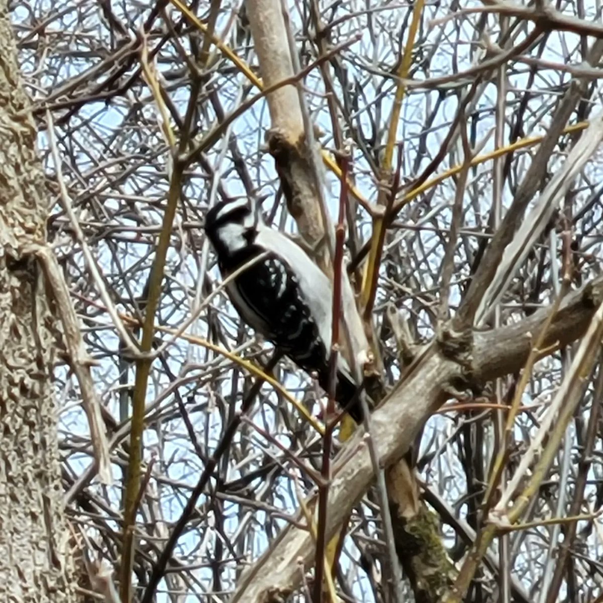 Ingrid Mitchell tweet media