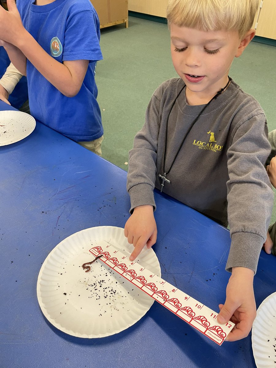 LovePrimarySTEM's tweet photo. It’s getting a little wiggly around here with 1st graders learning about living and non living things!🪱 Thanks @PPSLessons @KarenAnsberry @EmilyMorganNTYS 
@GaDOEScience https://t.co/fxYjg1v7zS
