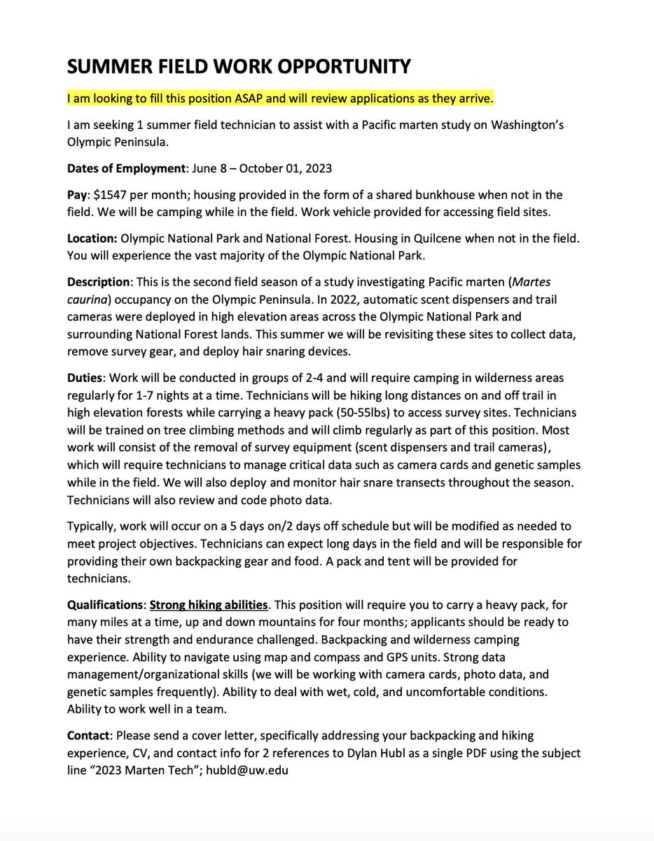 Job Posting! Study Pacific martens on Washington's Olympic Peninsula this summer! Note: strong hiking abilities required. This is the second season of a two season study, so you'll get to revisit remote camera traps and see who visited! Details attached.
<a href="/UW_SEFS/">UW SEFS 🌲</a>