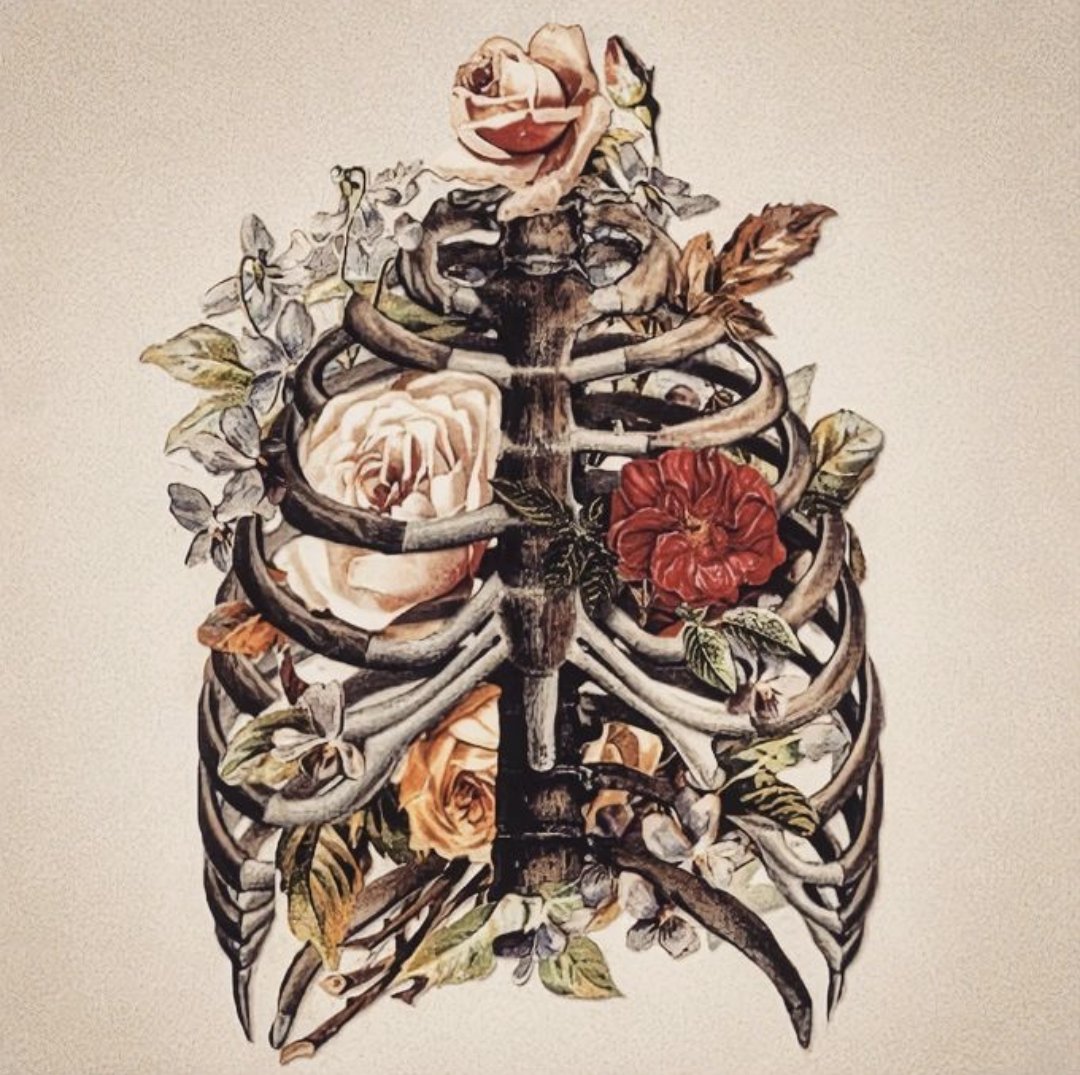 deathbyhibachi's tweet photo. Your Rarest of Flowers

#Art by Daniel Andersson https://t.co/l49R06WNTg
