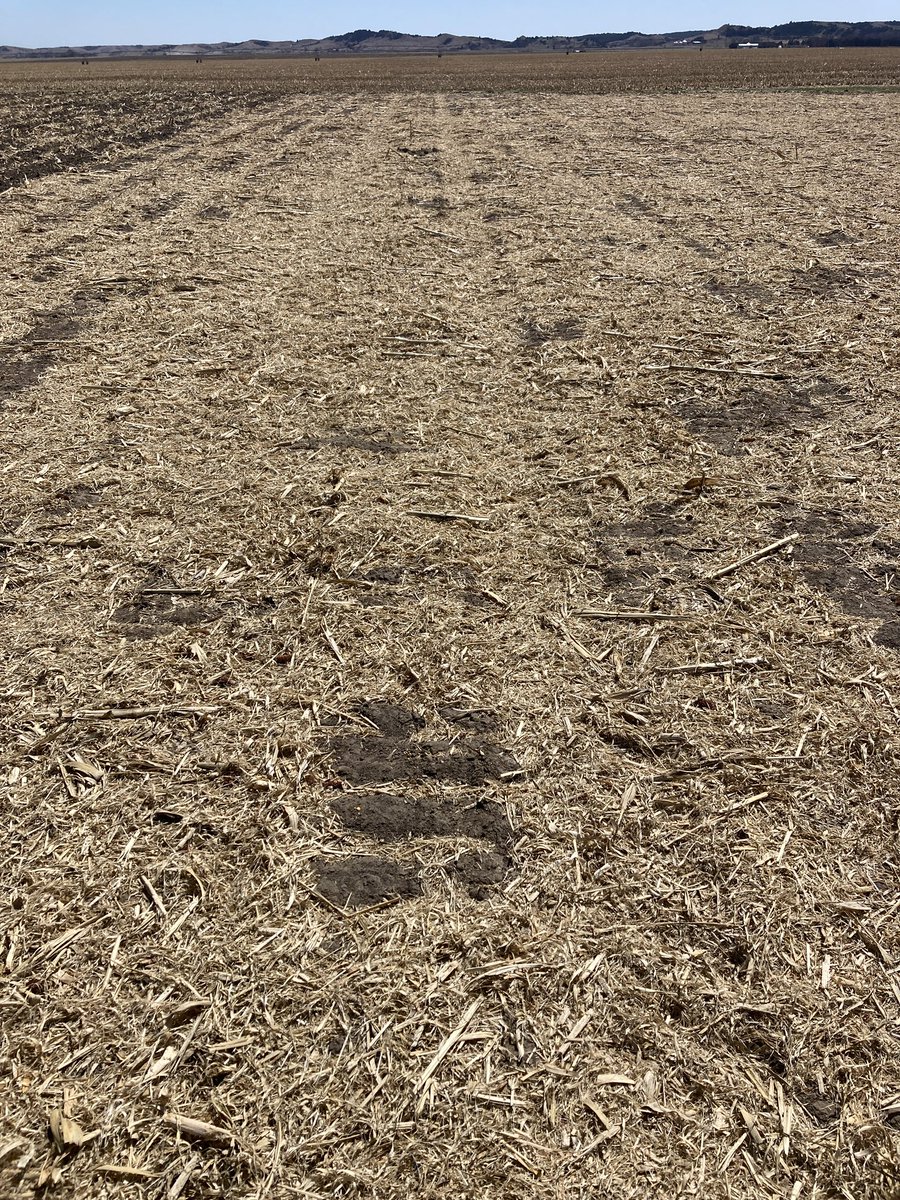 Bayer4CropsGLC's tweet image. This year we will start a long-term demonstration of #notill, #striptill and conventional tillage with and without #covercrops! Stay tuned 🌱🚜
#Bayer4NE @Bayer4Crops @Bayer