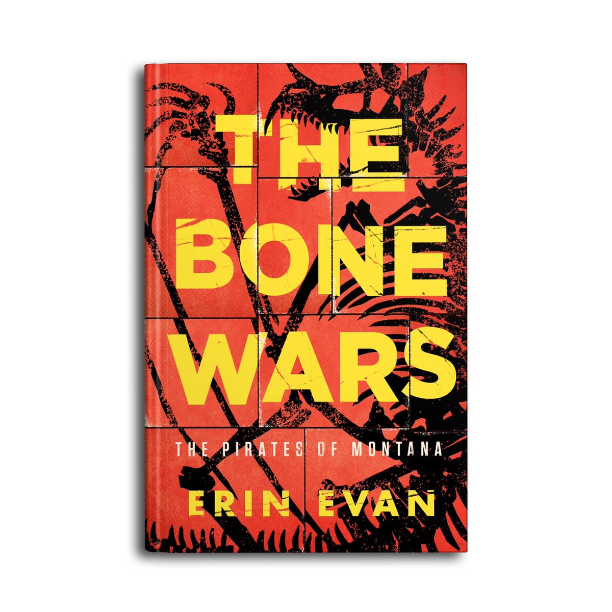 Inkshares's tweet photo. A very happy #pubday to #TheBoneWars by Erin Evan, an #JuniorLibraryGuild selection. @Booklist says it's "a remarkable combination of incredible scientific detail and convincing fabrication" that "makes the dragon discovery feel entirely plausible." We agree! https://t.co/82YbkxyUh4