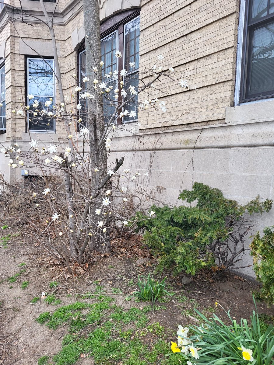 Jennifer K Pittleman tweet media