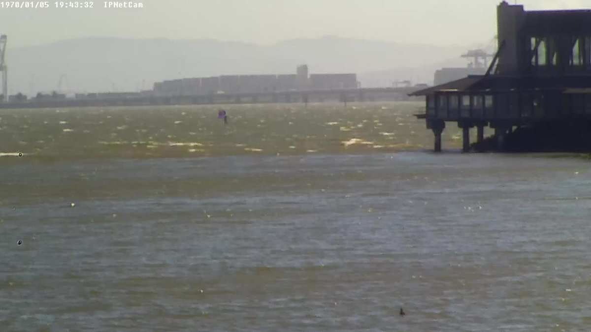 #windywindy... > 15kt <a href="/calsailing/">Cal Sailing Club ⛵️</a>! more at whatskraken.cal-sailing.org/wind