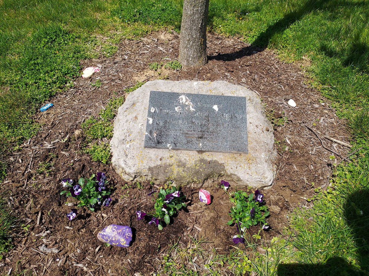 KimIngram22's tweet photo. #spring clean up has begun @lshspioneers @LSPioneers #lifeskills class is working hard to keep our campus beautiful! #flowers #LoveWhereYouLive #lovewhereyouwork Check back for progress on Friday!! https://t.co/Y7xqBgP80h