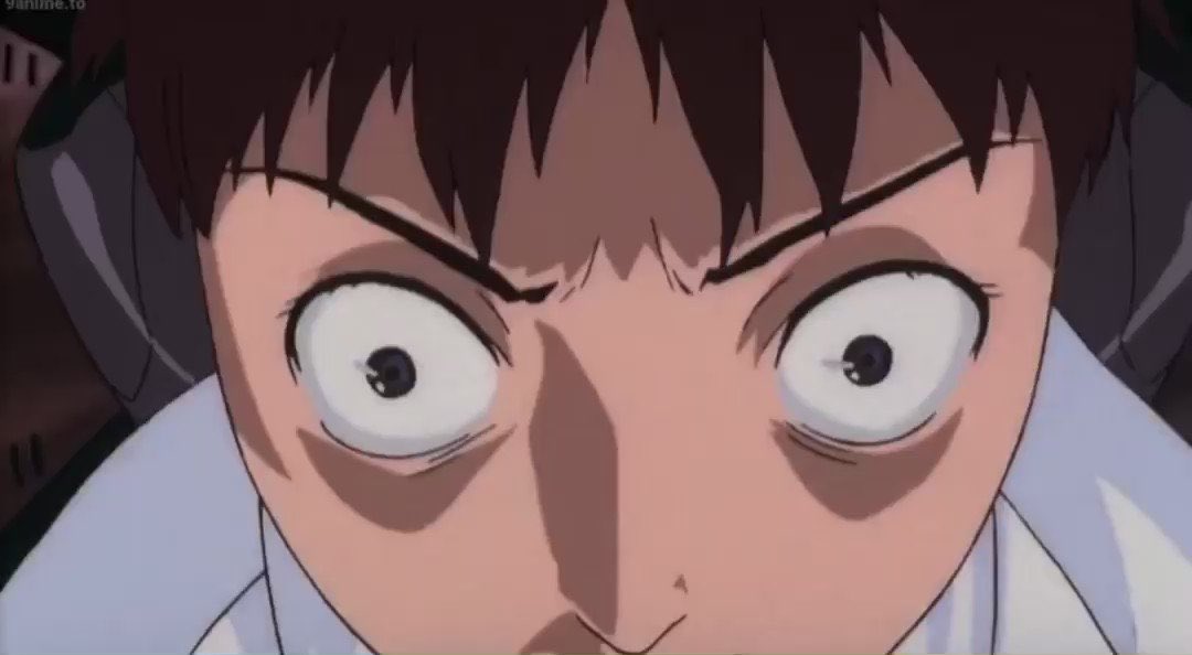 Lauren McManamon tweet media