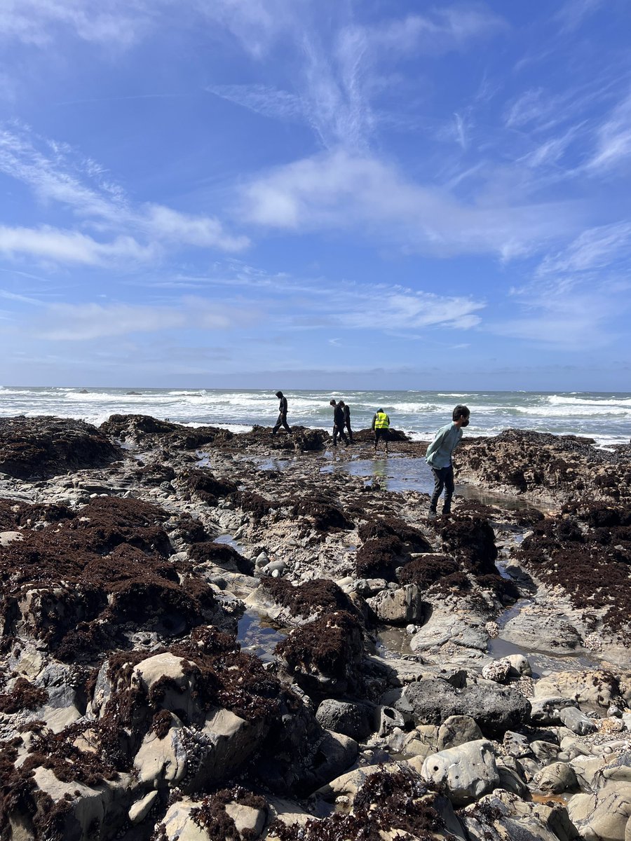 SFIndependence's tweet photo. Our student scientists were at Fitzgerald Marine Wildlife reserve today with @limpetsnews recording creatures in the tide pools! ๐๐๐ฆญ๐ชธ https://t.co/LDogVpcehB